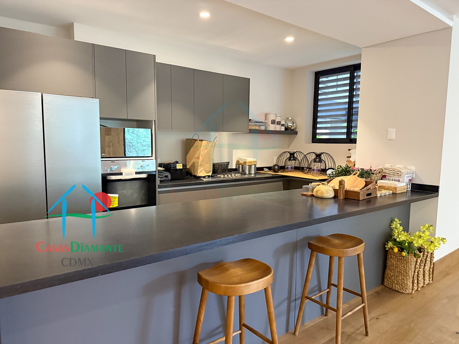 Desierto de los Leones Acanto AJA1 - Cocina 3